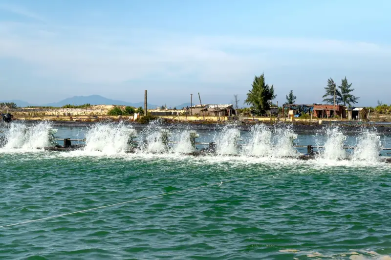 A row of surface aerators throwing up white spray across green water