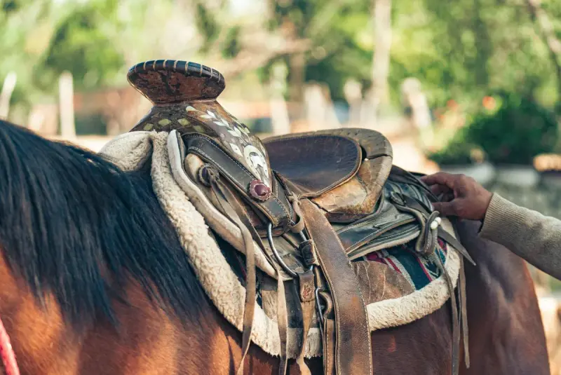 Tooled western saddle with fleece lining on a brown horse, a hand resting on the seat