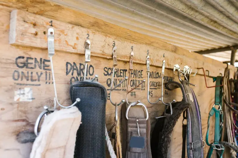 Girths and saddle pads hanging on numbered hooks on a wooden tack room wall