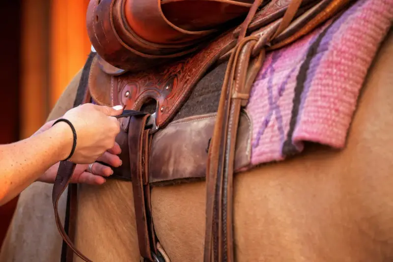 Rider tightening the cinch on a tooled western saddle with a pink saddle blanket