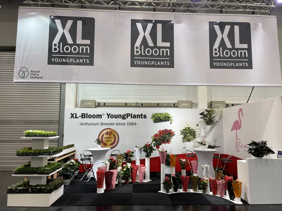 XL-Bloom YoungPlants booth by Purple Exhibits: straight-on view of the black-and-white XL-Bloom YoungPlants booth, like the booths we plan for HPBExpo