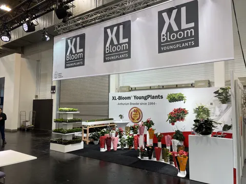 XL-Bloom YoungPlants booth by Purple Exhibits: angled view of the XL-Bloom YoungPlants booth with black banners overhead