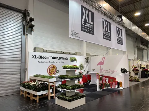 XL-Bloom YoungPlants booth by Purple Exhibits: wide angled view of the XL-Bloom YoungPlants inline booth