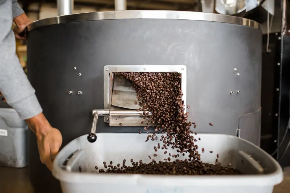 Freshly roasted coffee beans pouring from a drum roaster into a collection bin