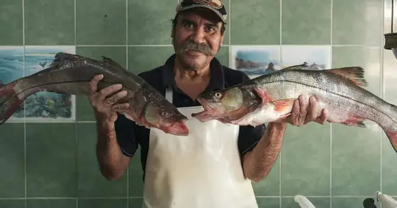 Seafood Expo North America