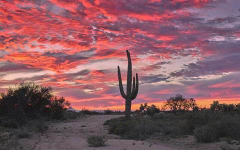 JW Marriott Desert Ridge
