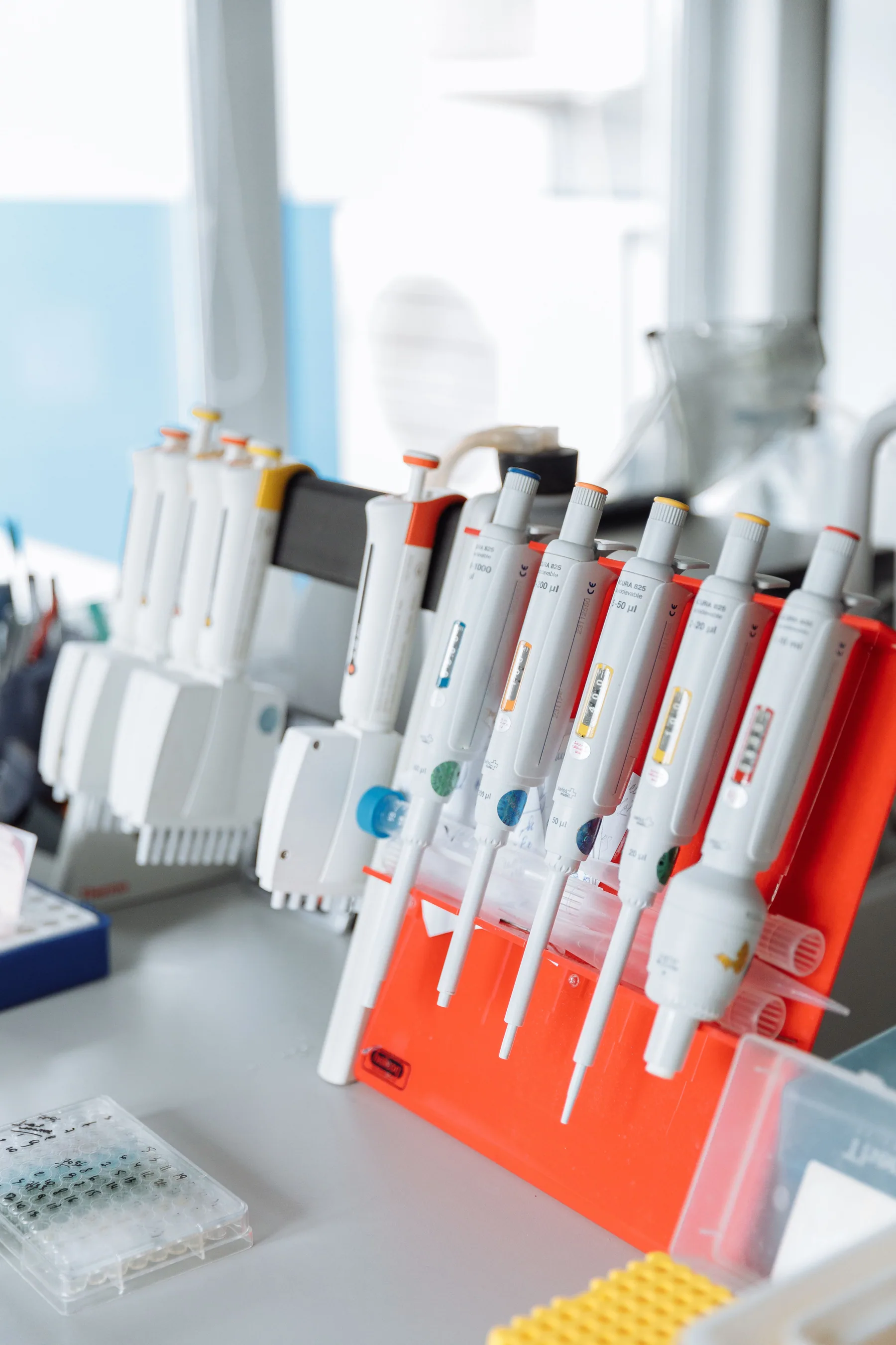 Pipettes arranged on a laboratory bench.