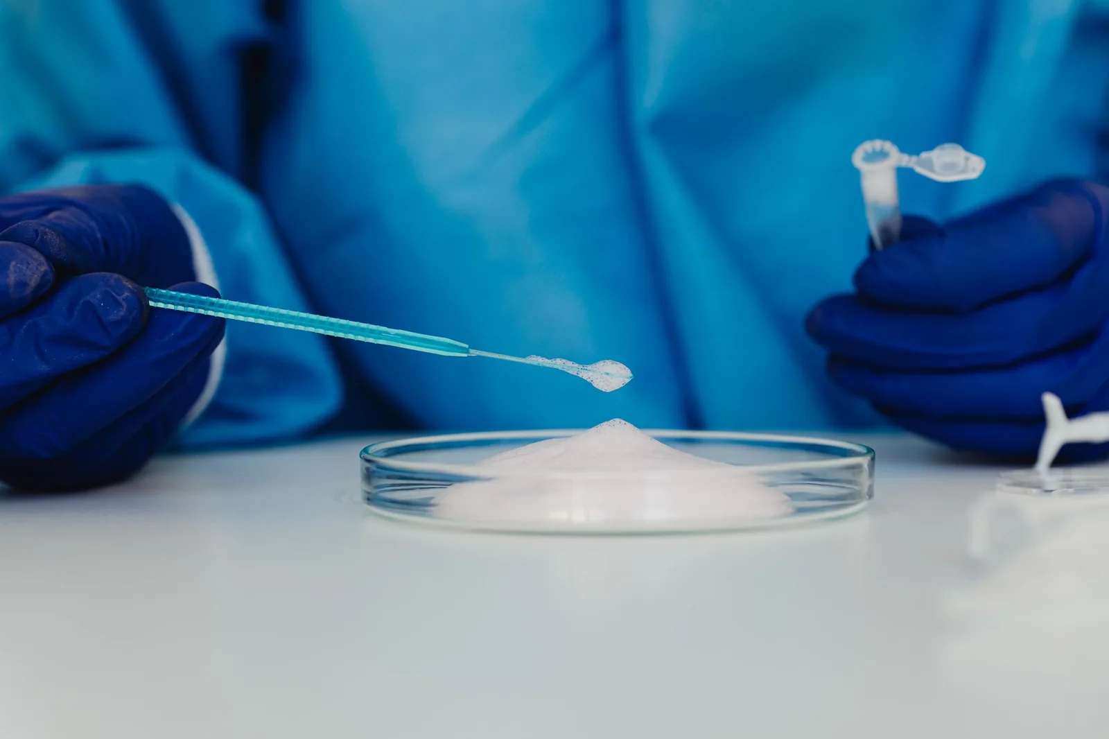 Blue-gloved laboratory worker handling a small sample beside a petri dish
