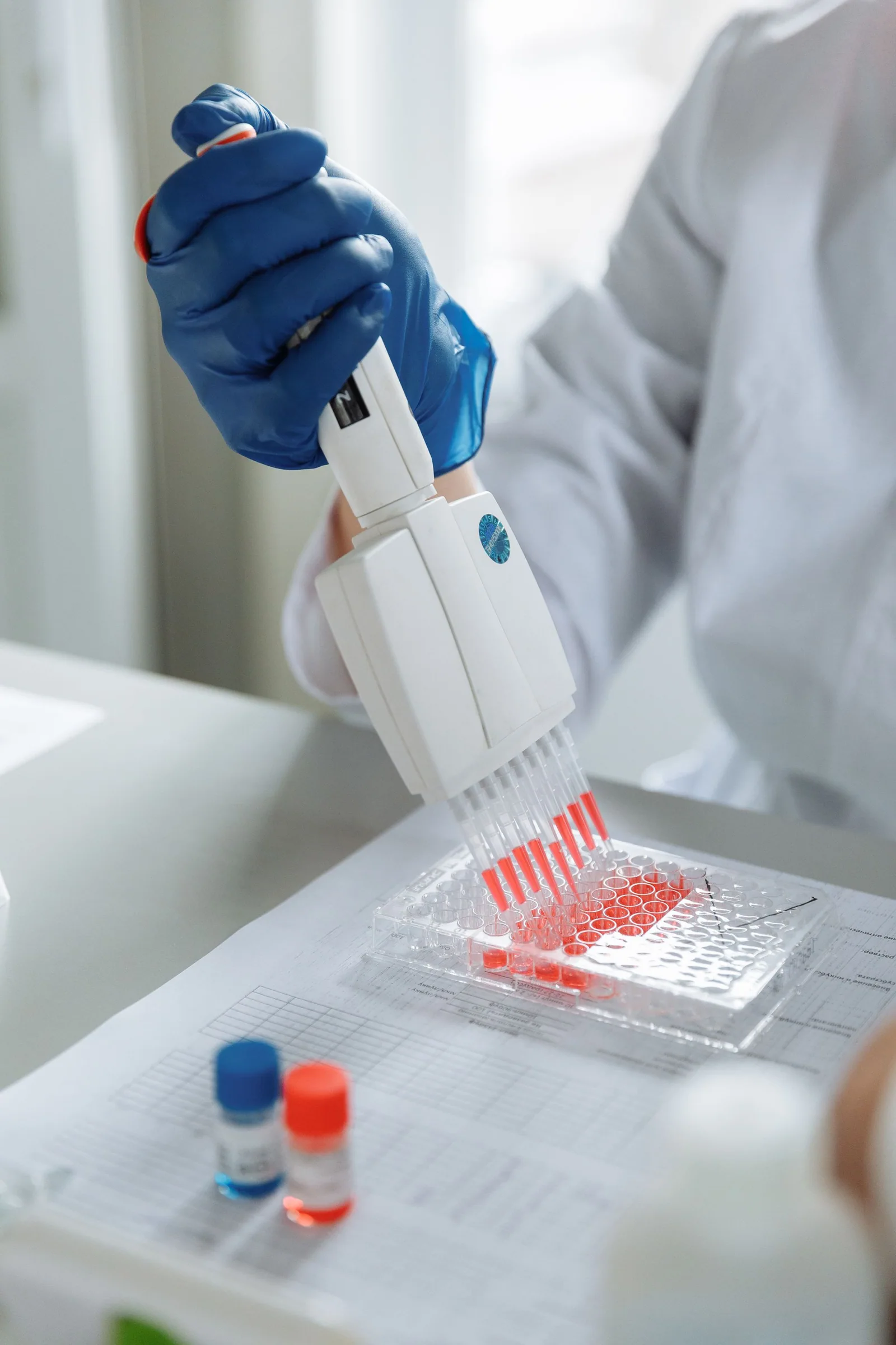 Gloved researcher using a multichannel pipette with red laboratory samples