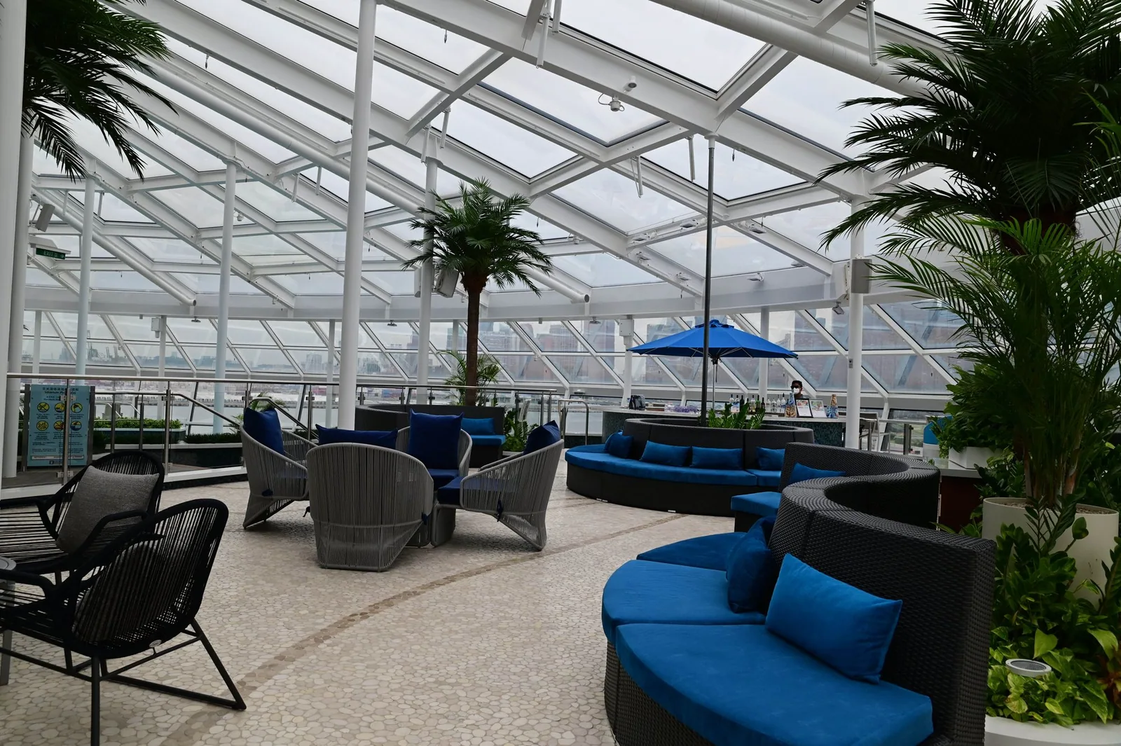 Cruise-ship lounge with grouped seating, palm trees and a glass ceiling.