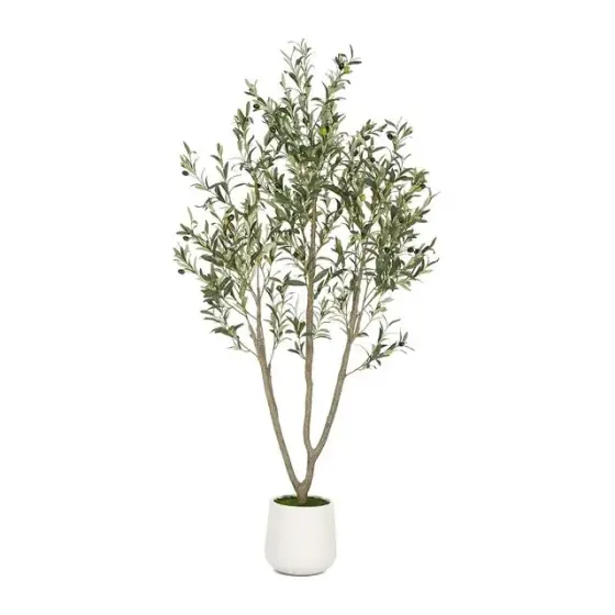 Faux Olive Tree, 6 ft, White Planter