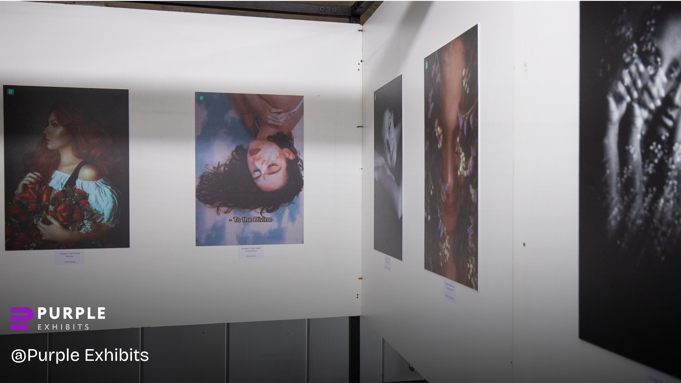 Wall-mounted artwork displayed in a clean gallery-style setup, showcasing exhibit design services used to enhance modern trade show booths.