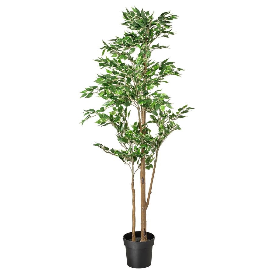 Faux Weeping Fig