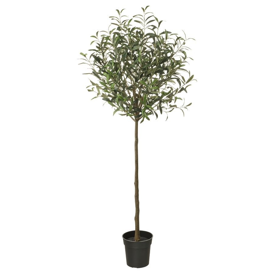 Small Faux Olive Tree