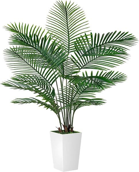 6-Foot Palm
