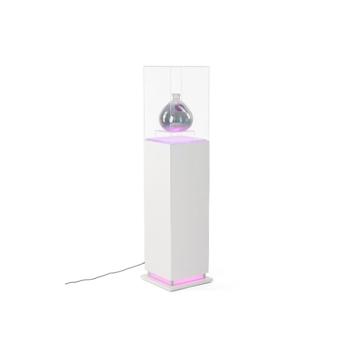 Lit Pedestal Display Case