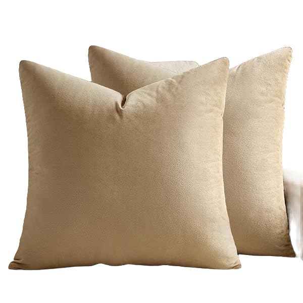 Throw Pillow Pair