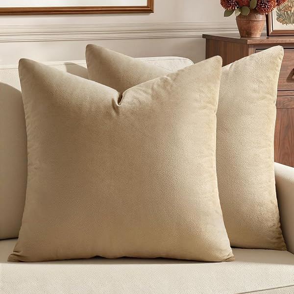 Throw Pillow Pair