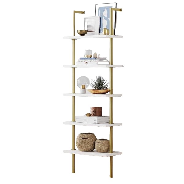 Ladder Display Shelf