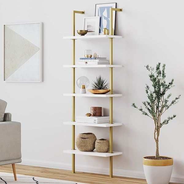 Ladder Display Shelf
