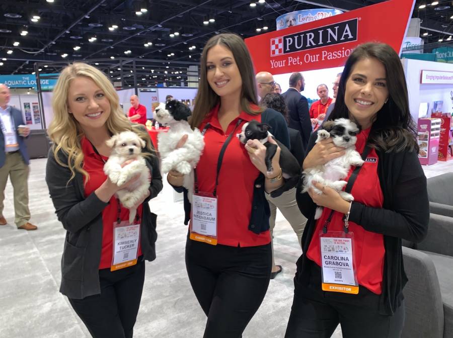 Ambassadors holding puppies at a pet industry show